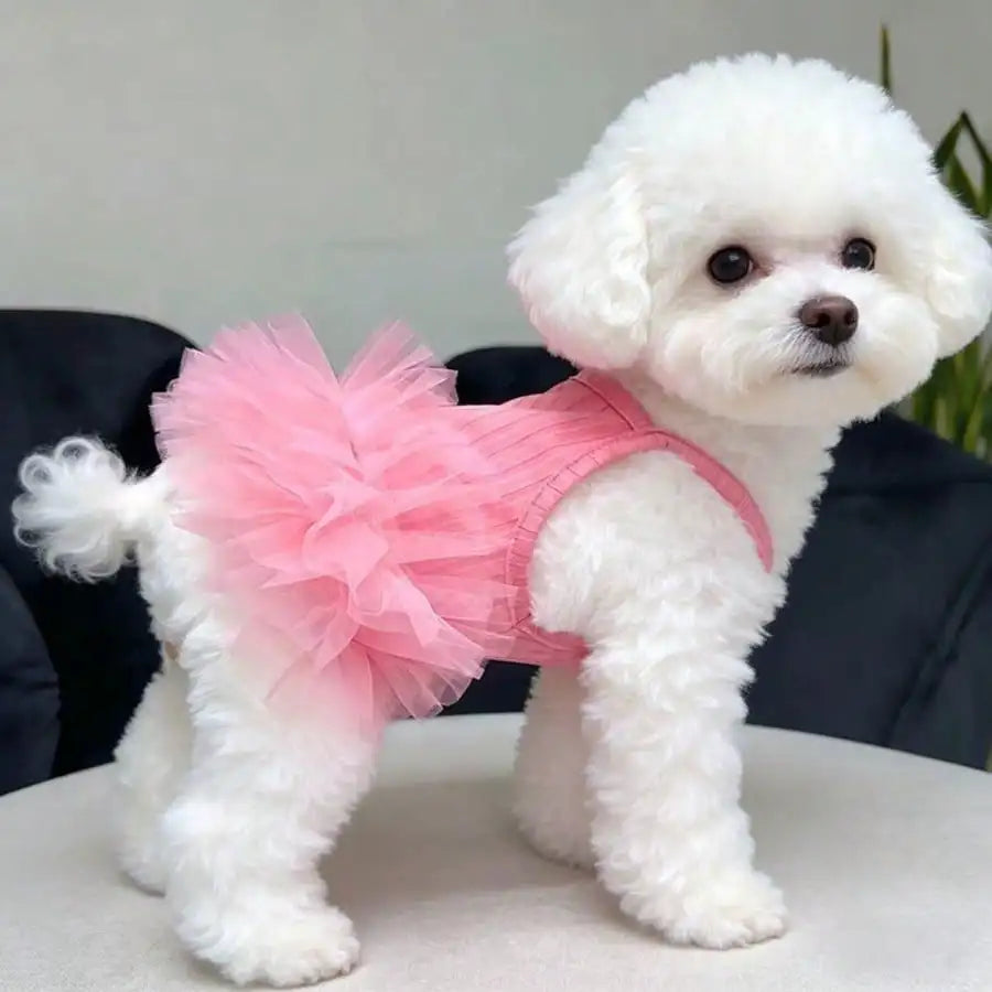 Lightweight Dog Tutu Outfit For Joyful Pet Celebrations