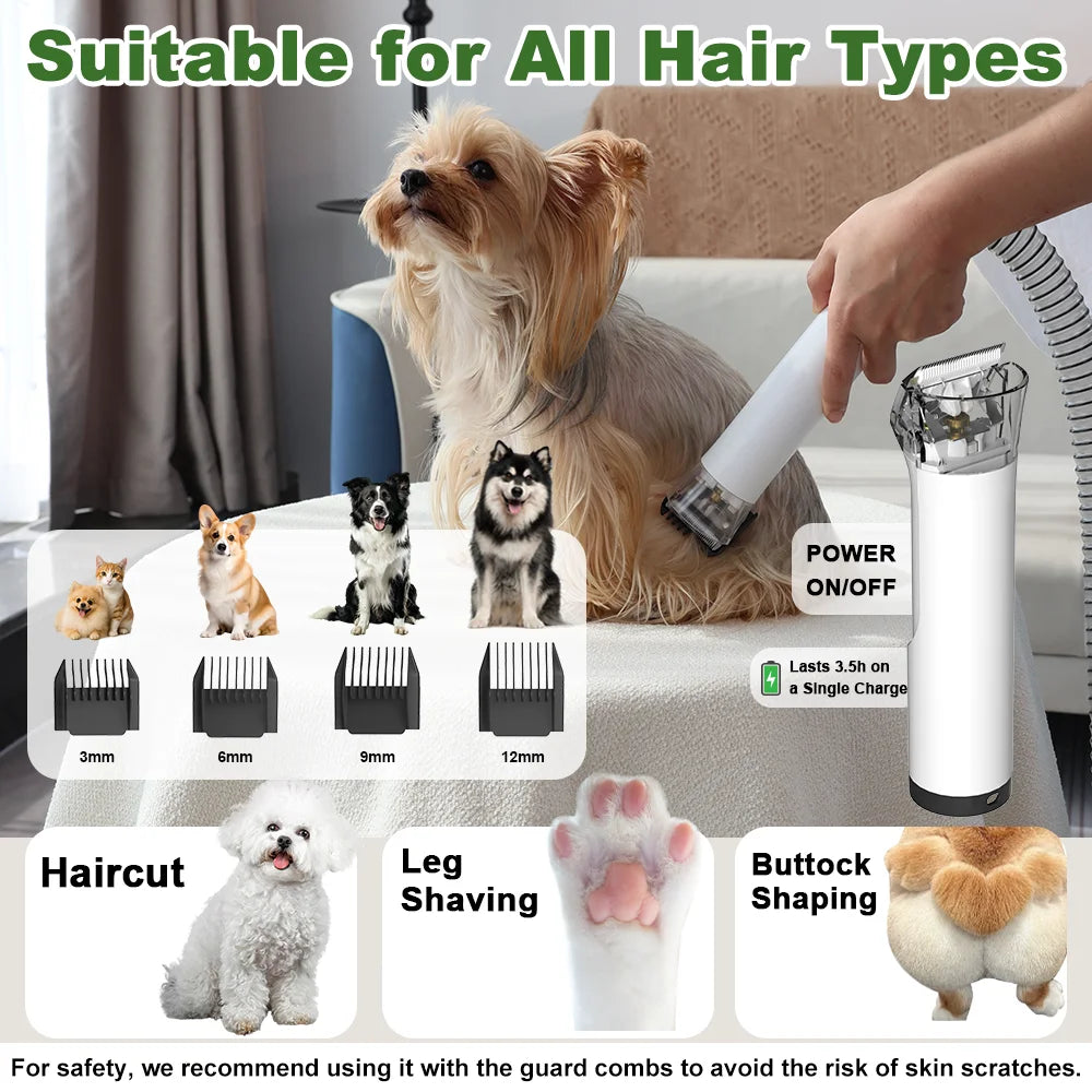 Professional 5 In 1 Quiet Cat And Dog Grooming Vacuum