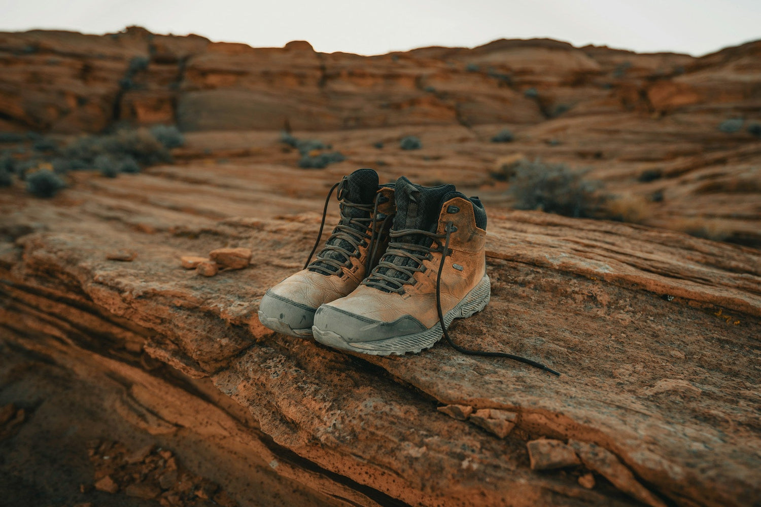Travel & Adventure Gear