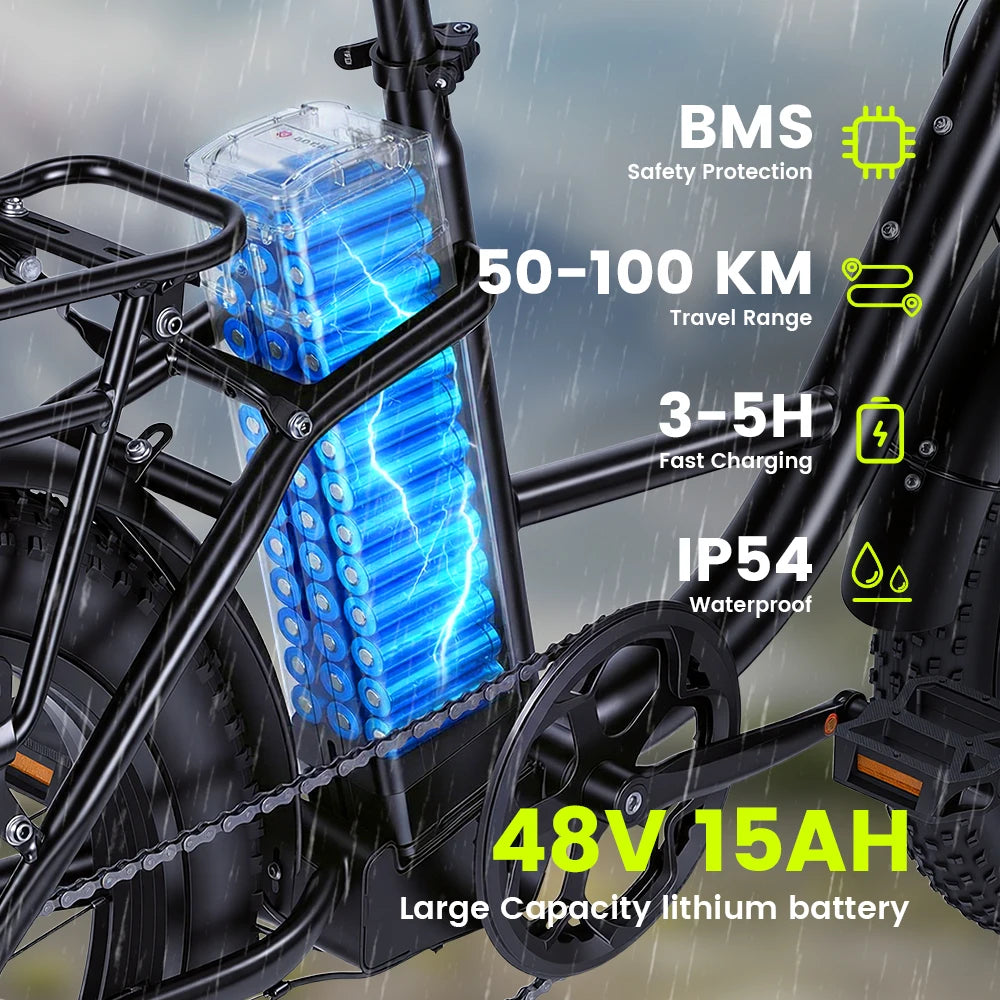 AiliFe 1000W Electric Bike  48V 15Ah Removable Battery 20''X3" Fat Tire Electric Bicycle 7-Speed E-Bike with Dual Disc Brake