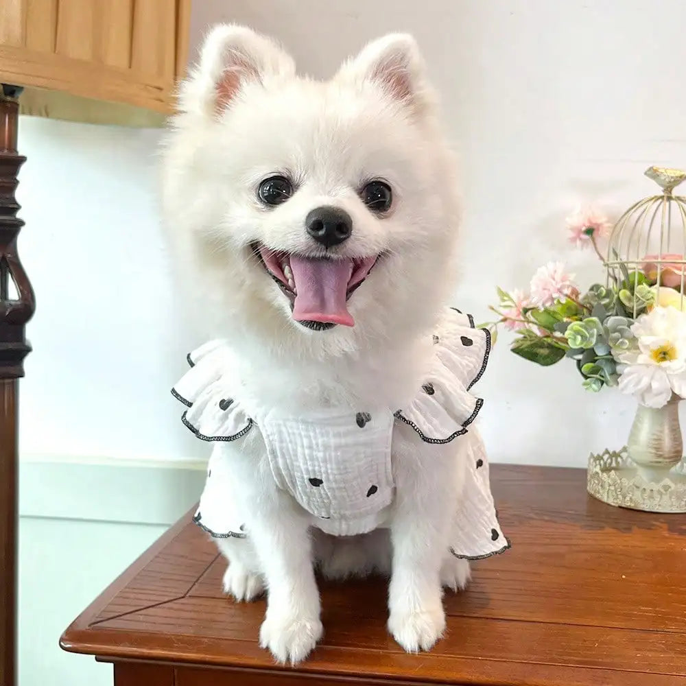 Spring Summer Love Themed Pet Clothing For Dogs And Cats