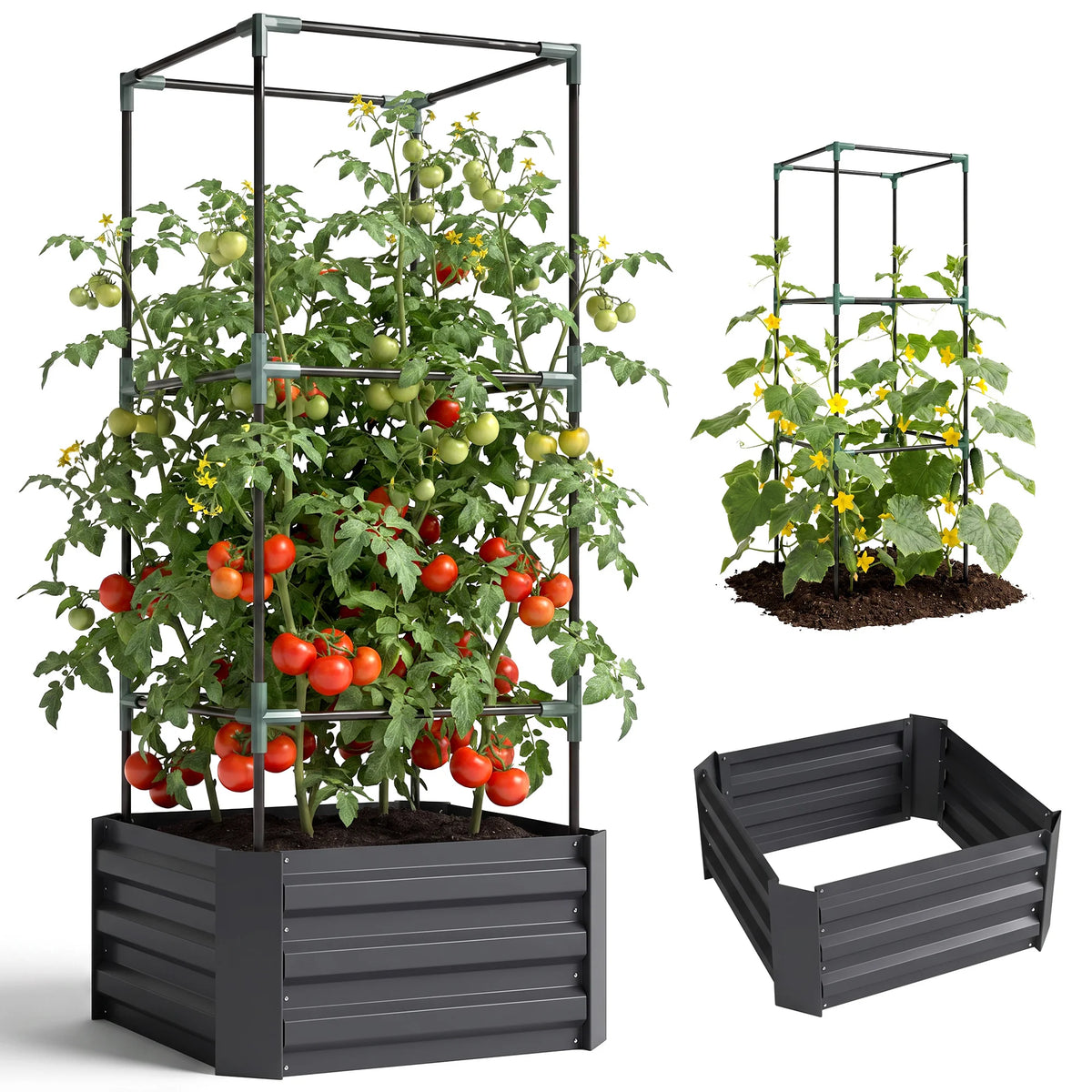 Galvanised Raised Garden Bed with Tomato Cage, Open Bottom, Dark Gray