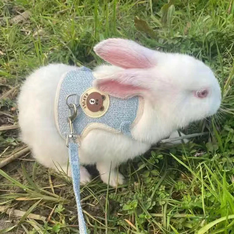 Padded Rabbit Harness And Leash Set For Outdoor Walking