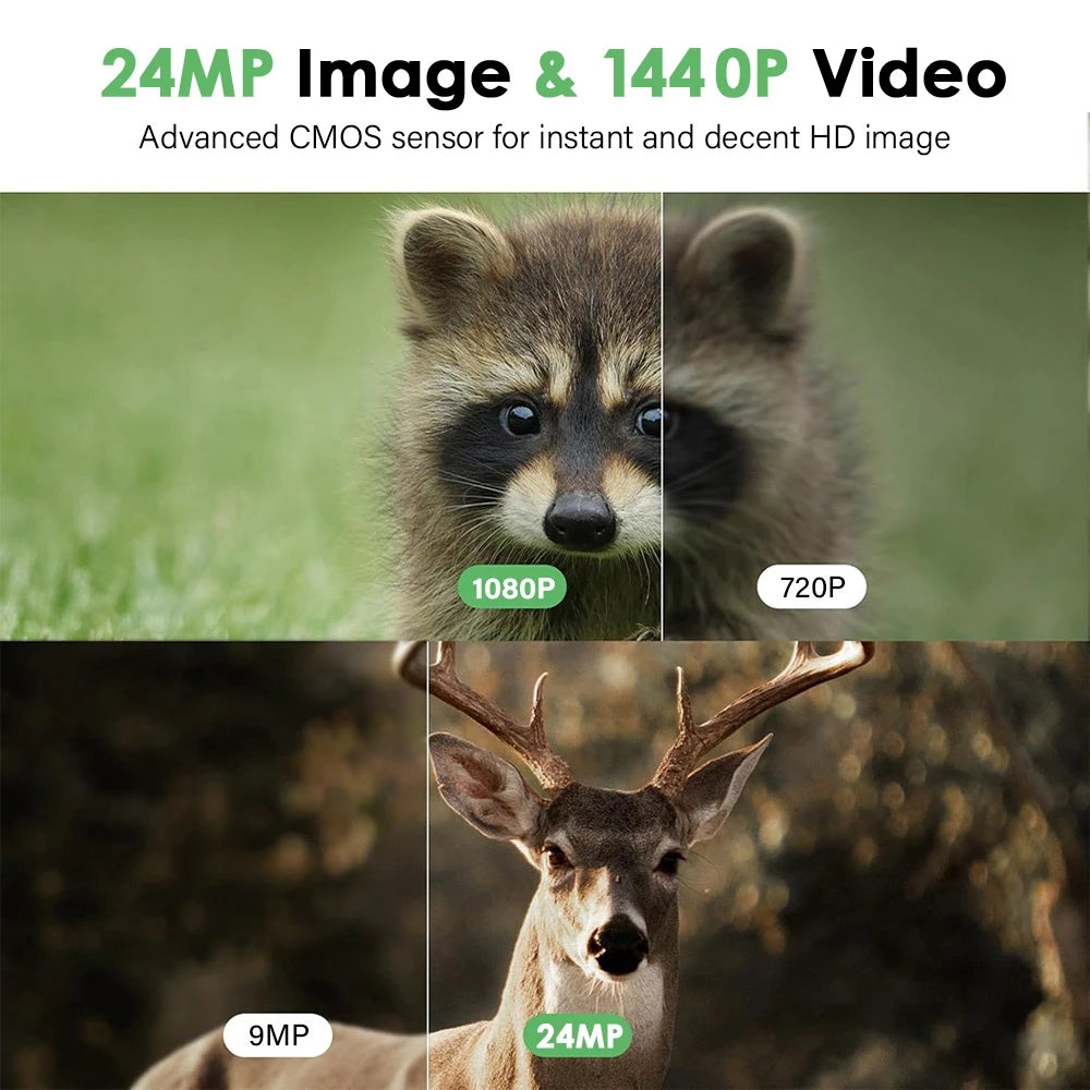 New Mini Trail Camera With 940nm Infrared Night Vision Waterproof