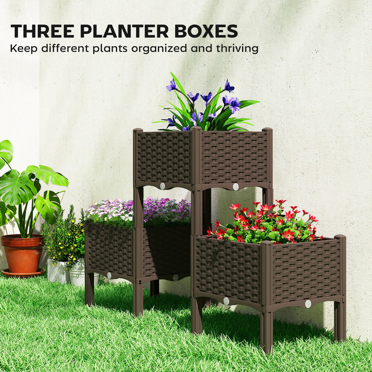 Plastic Raised Garden Bed with Legs, Self-Watering Planter Boxes