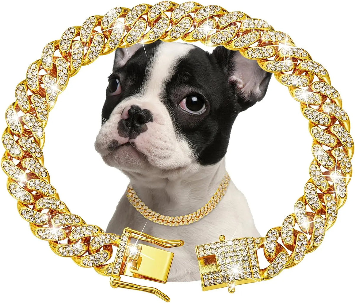 Luxury Stainless Steel Pet Chain Collar Featuring Jeweled Design