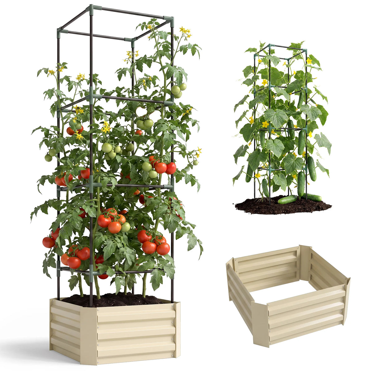 Galvanized Raised Garden Bed with Tomato Cage, Open Bottom, Cream