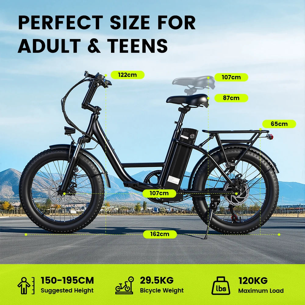 AiliFe 1000W Electric Bike  48V 15Ah Removable Battery 20''X3" Fat Tire Electric Bicycle 7-Speed E-Bike with Dual Disc Brake