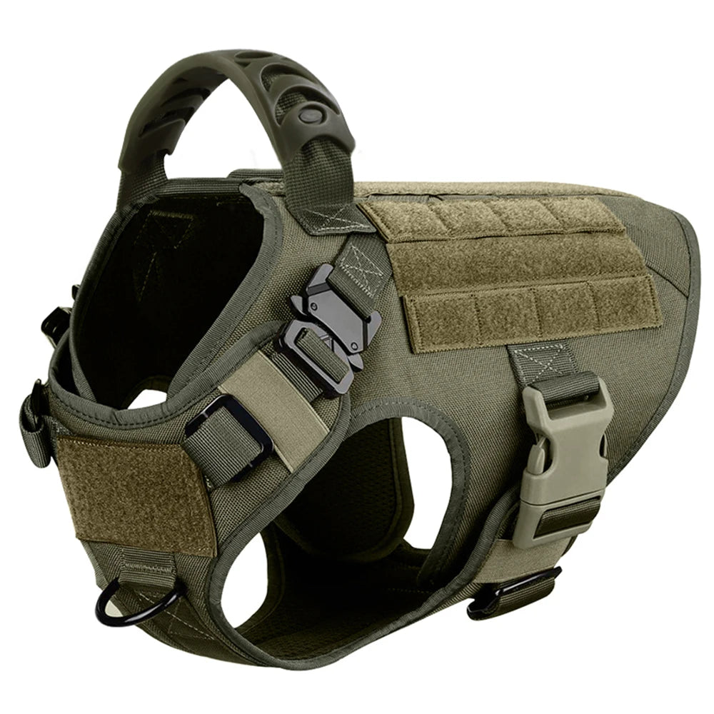 Petravel Quick Release Padded Dog Harness And Leash Set