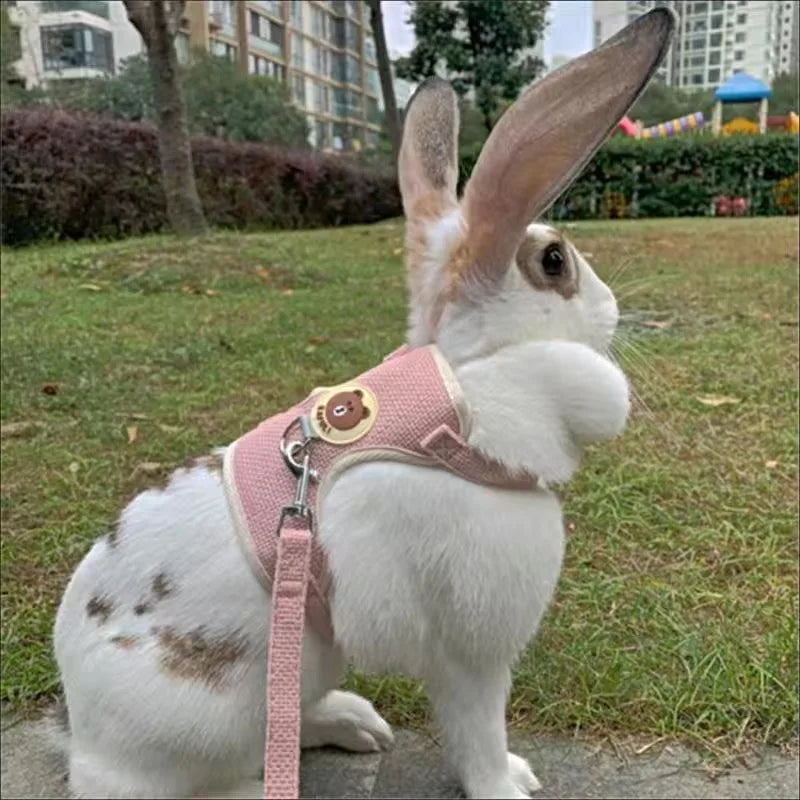 Padded Rabbit Harness And Leash Set For Outdoor Walking