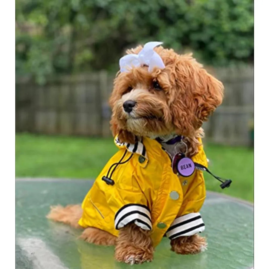 Dog Zip Up Raincoat with Reflective Buttons, Rain/Water Resistant, Adjustable Drawstring, Removable Hood, Raincoats with Legs 8