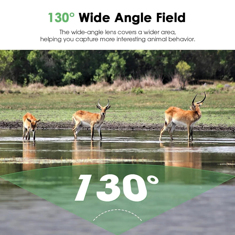 New Mini Trail Camera With 940nm Infrared Night Vision Waterproof