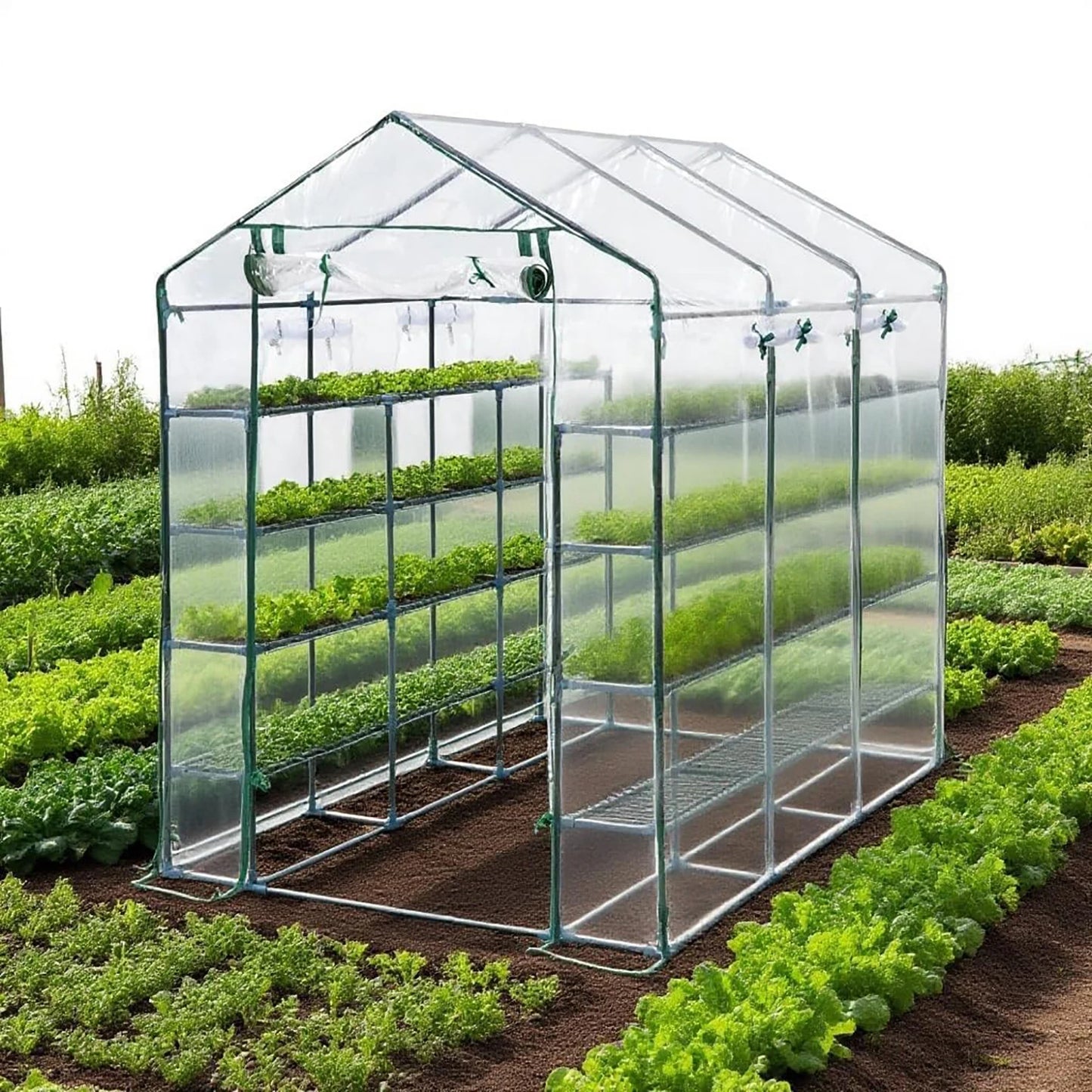 57x85x77in Walk-In Greenhouse With 8 Shelves, PE Cover, Mesh Windows & Zipper Door, Heavy Duty Plant House For Garden Backyard Patio