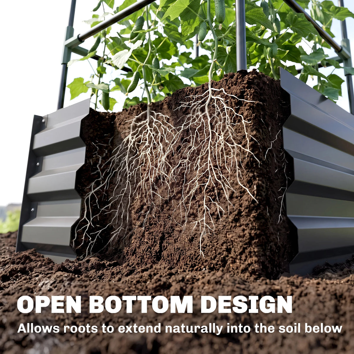 Galvanised Raised Garden Bed with Tomato Cage, Open Bottom, Dark Gray