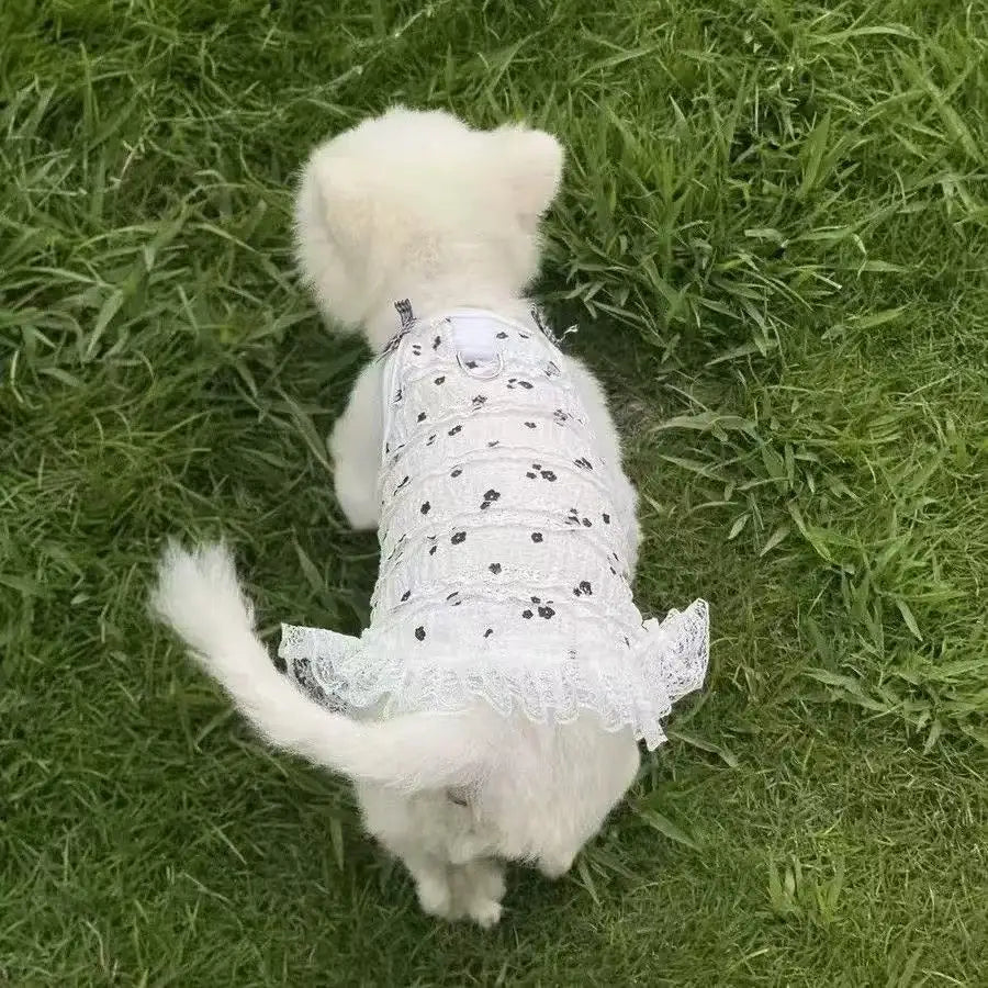 Dresses Spring Cute Bowknot Lace Pet Dress Sleeveless Vest Puppy Outfits For Teddy Small Dogs Cats Girl Dog Clothes