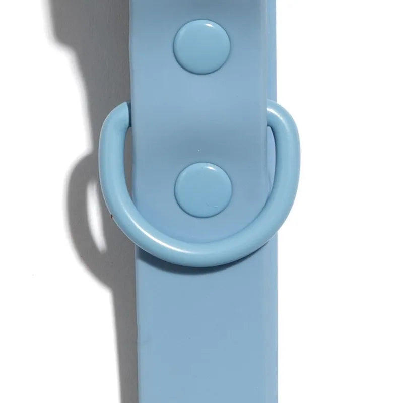 Dog Collars, Water and Dirt Resistant Fashion Pet Collar, Blue, Small