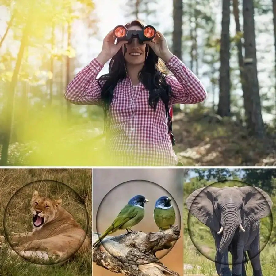 8x40 High Magnification Binoculars, Suitable For Adults, Features Low Light Night Vision, Compact Waterproof, Ideal For