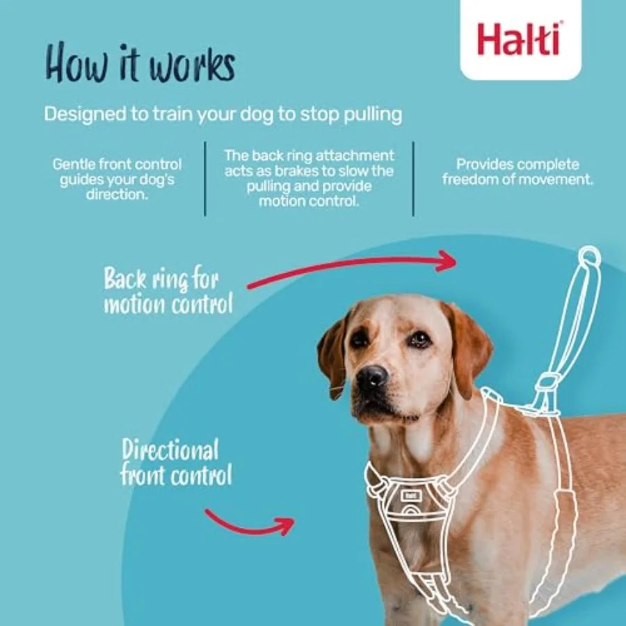 No Pull Dog Harness Size L, Black Stop Your Dog Pulling on the Leash Adjustable, Lightweight, and Easy to Use Dog Training Harn