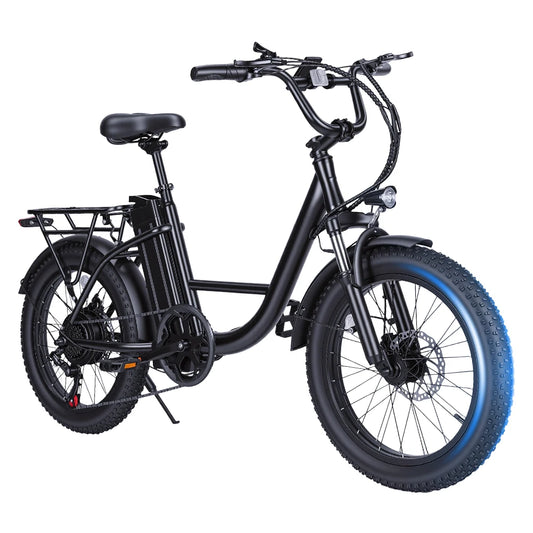 AiliFe 1000W Electric Bike  48V 15Ah Removable Battery 20''X3" Fat Tire Electric Bicycle 7-Speed E-Bike with Dual Disc Brake