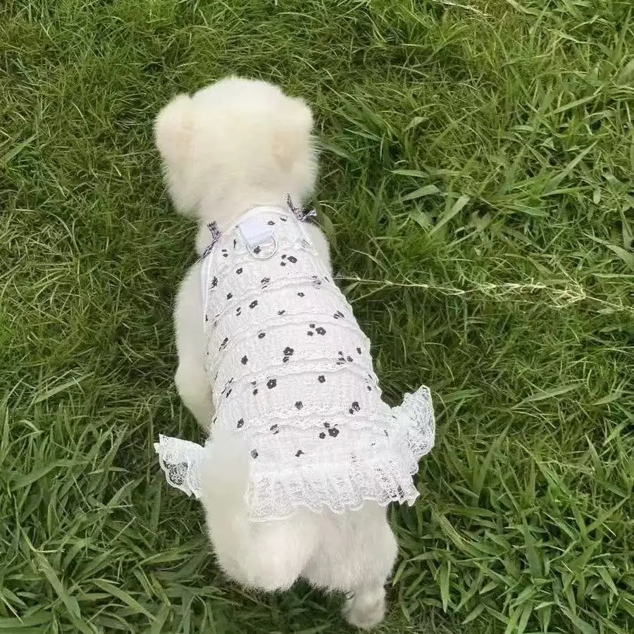 Dresses Spring Cute Bowknot Lace Pet Dress Sleeveless Vest Puppy Outfits For Teddy Small Dogs Cats Girl Dog Clothes