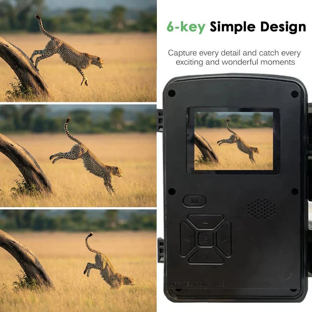 New Mini Trail Camera With 940nm Infrared Night Vision Waterproof