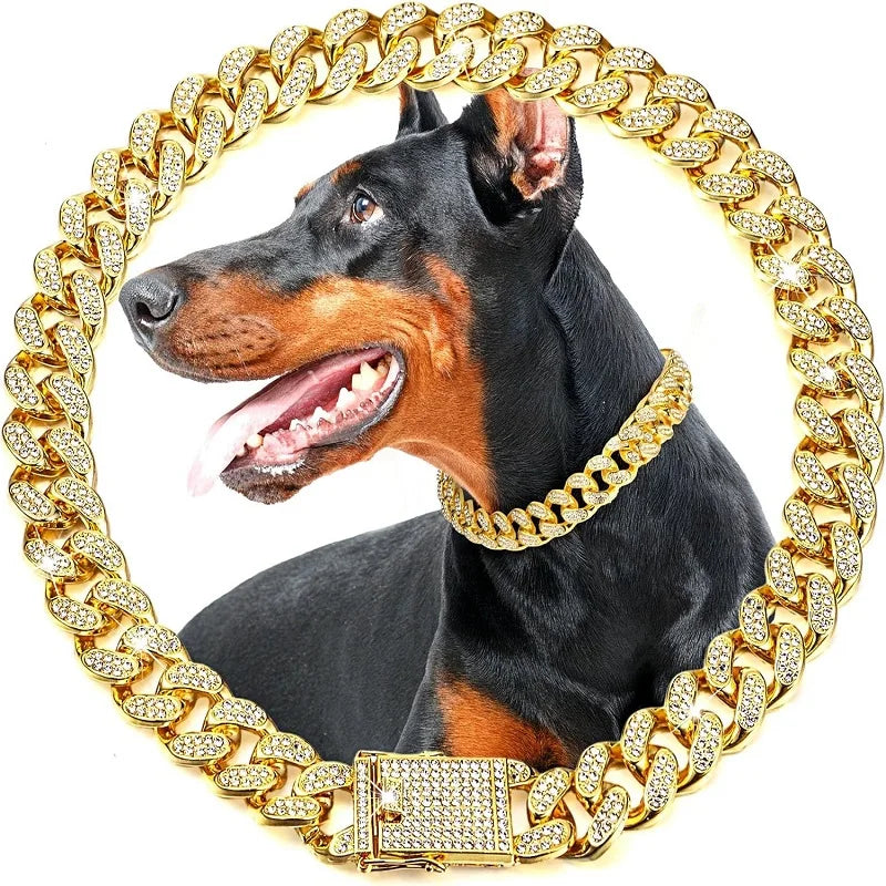 Luxury Stainless Steel Pet Chain Collar Featuring Jeweled Design