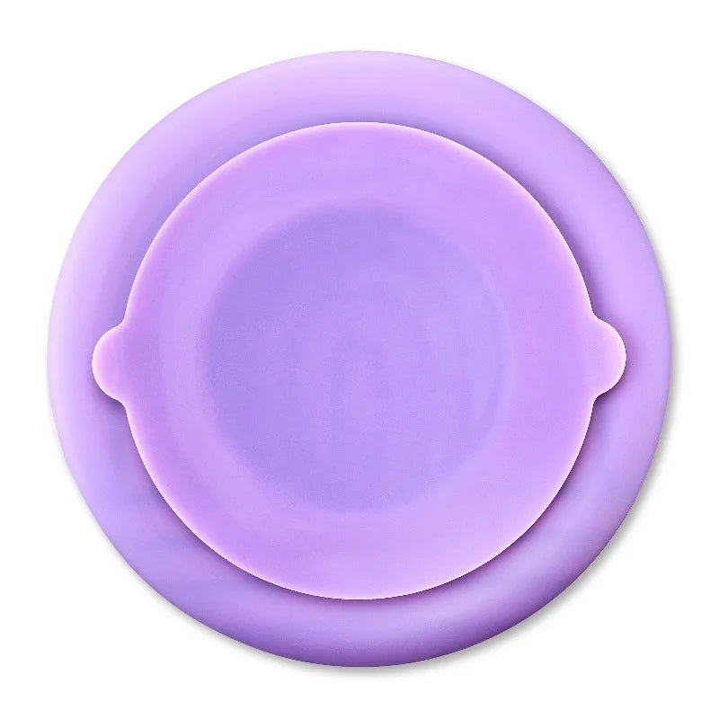 Silicone Slow Feeder Bowl for Pets, Purple Rainbow