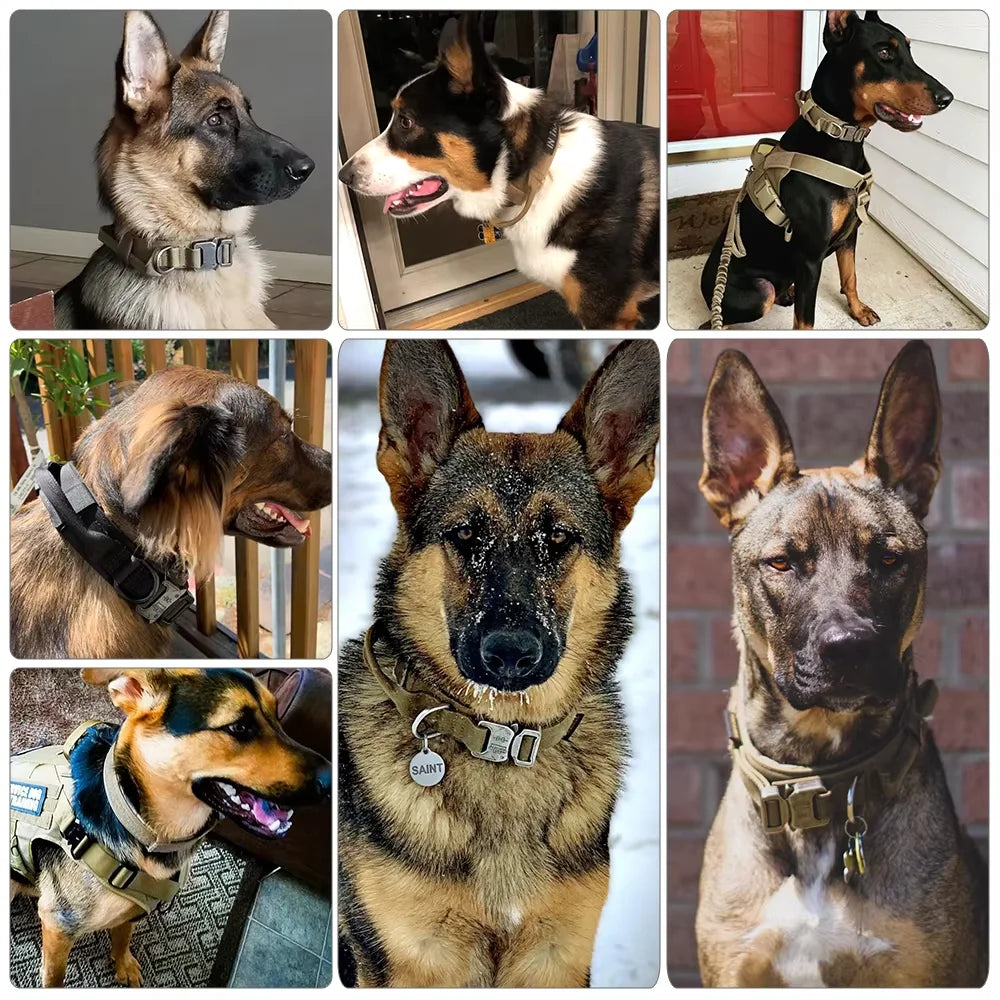 Petravel Adjustable Tactical Dog Collar And Leash Set