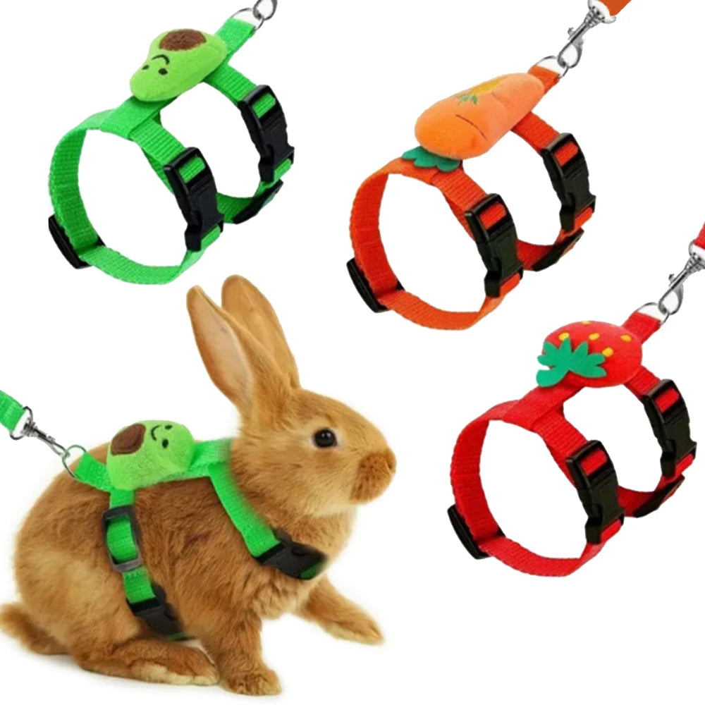 Adjustable Nylon Pet Harness And Leash For Small Animals