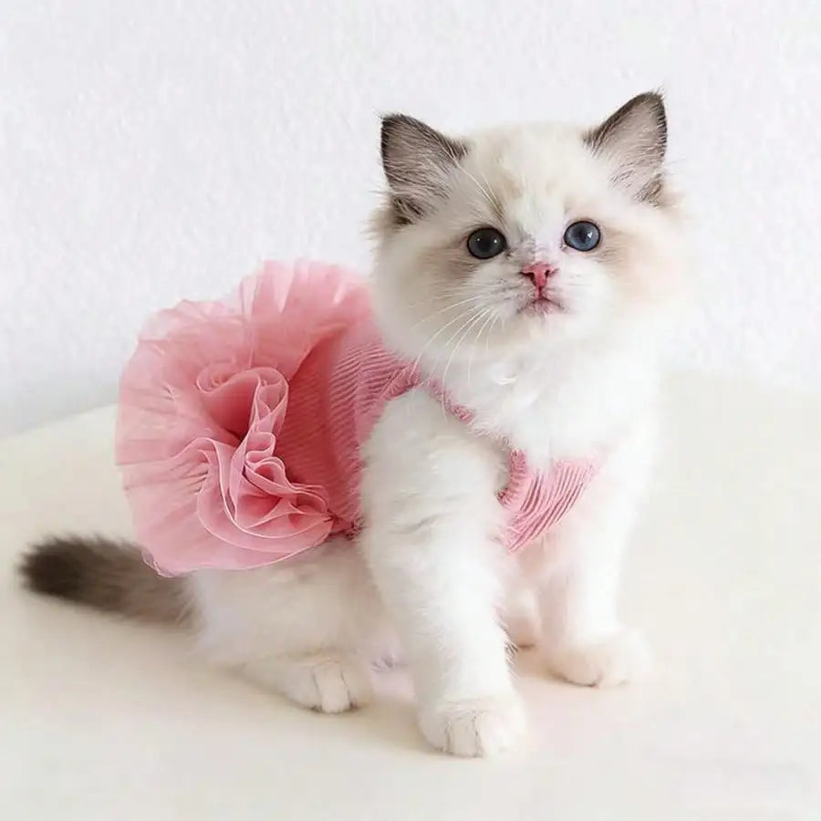 Lightweight Dog Tutu Outfit For Joyful Pet Celebrations