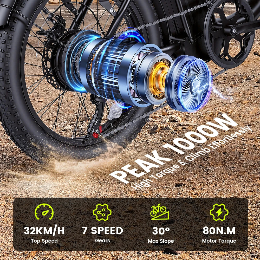 AiliFe 1000W Electric Bike  48V 15Ah Removable Battery 20''X3" Fat Tire Electric Bicycle 7-Speed E-Bike with Dual Disc Brake