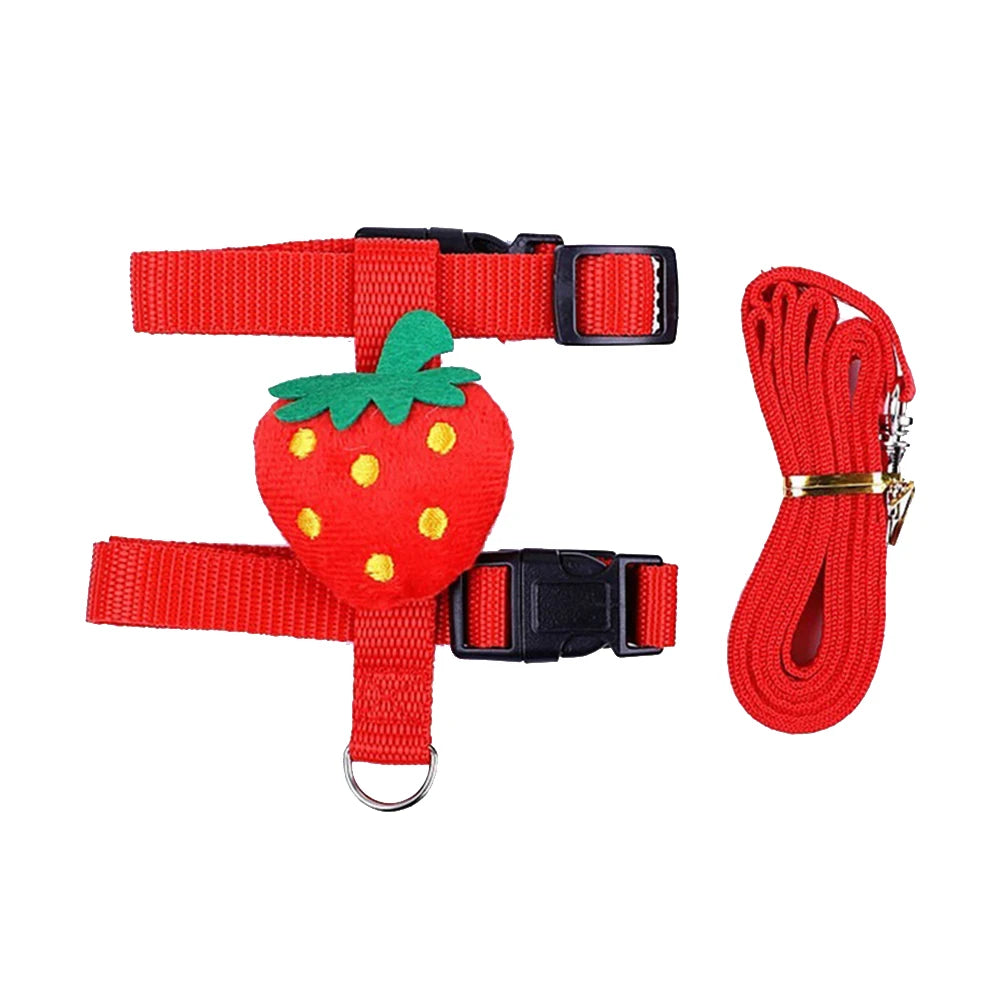 Adjustable Nylon Pet Harness And Leash For Small Animals