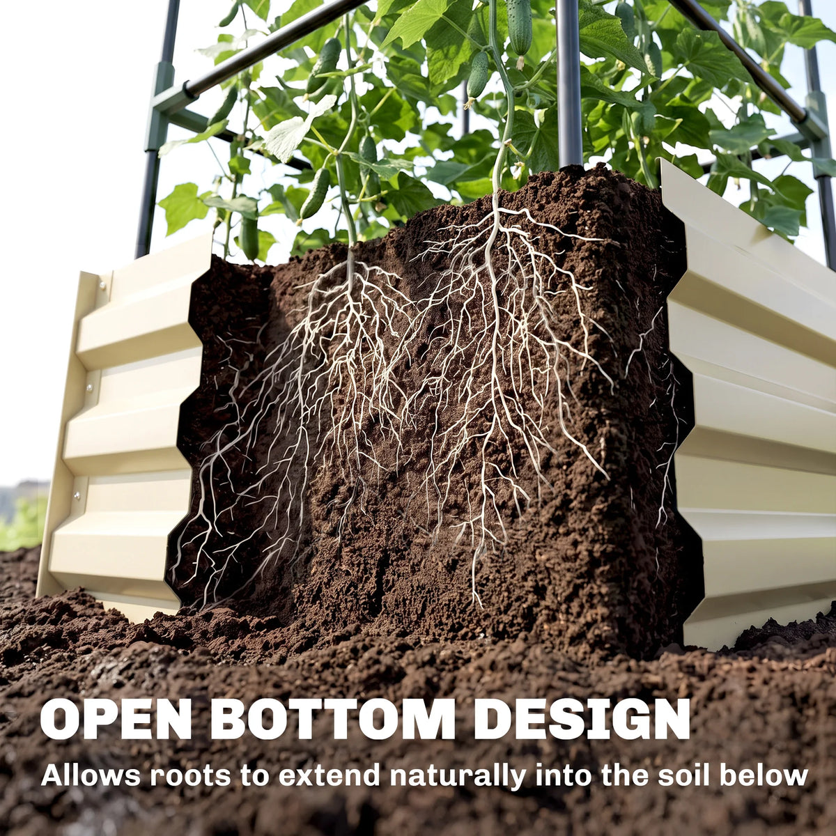 Galvanized Raised Garden Bed with Tomato Cage, Open Bottom, Cream