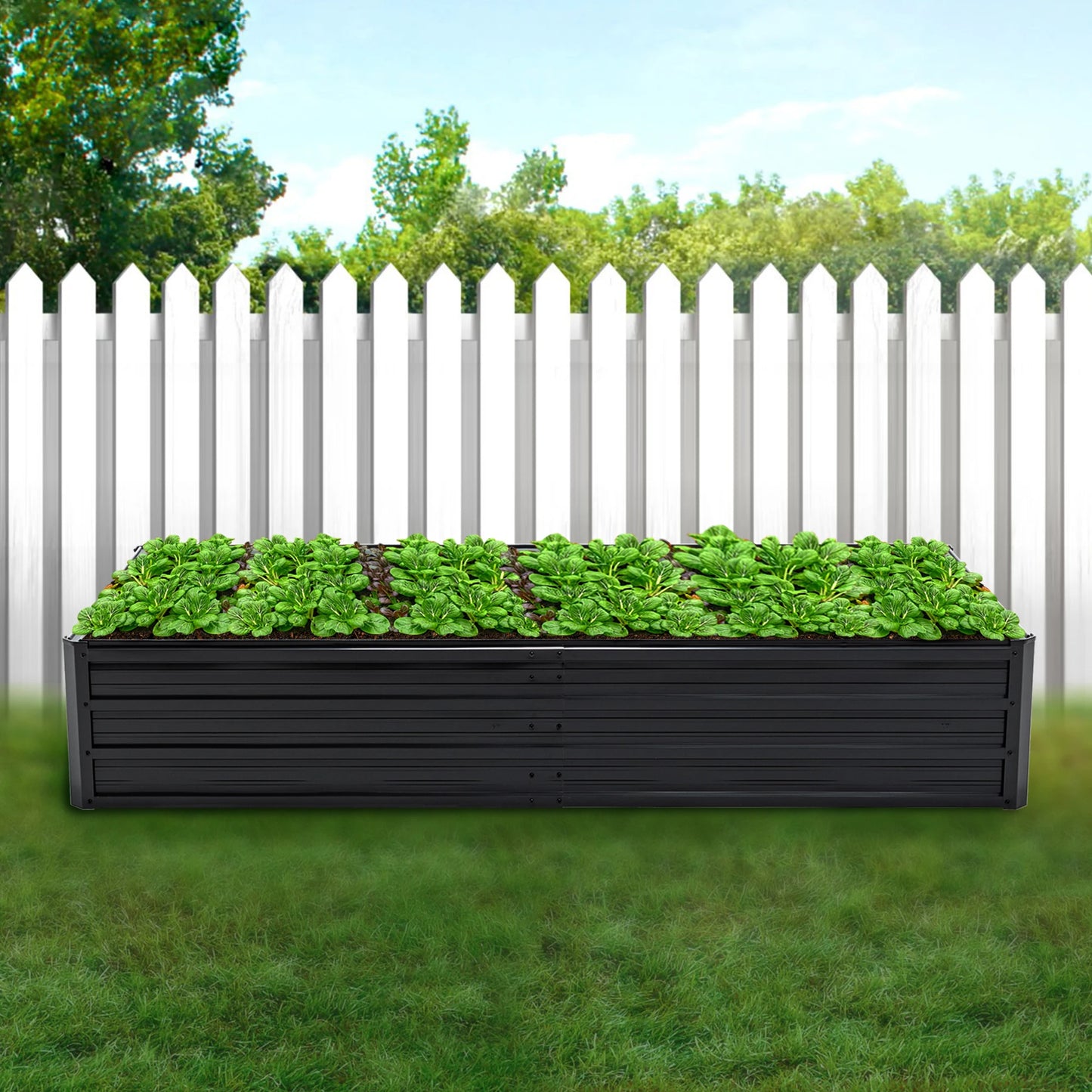 6x3x1 ft Sturdy Galvanized Steel Raised Garden Bed Planter Box for Vegetables Flowers Herbs Succulents Backyard Patio Black