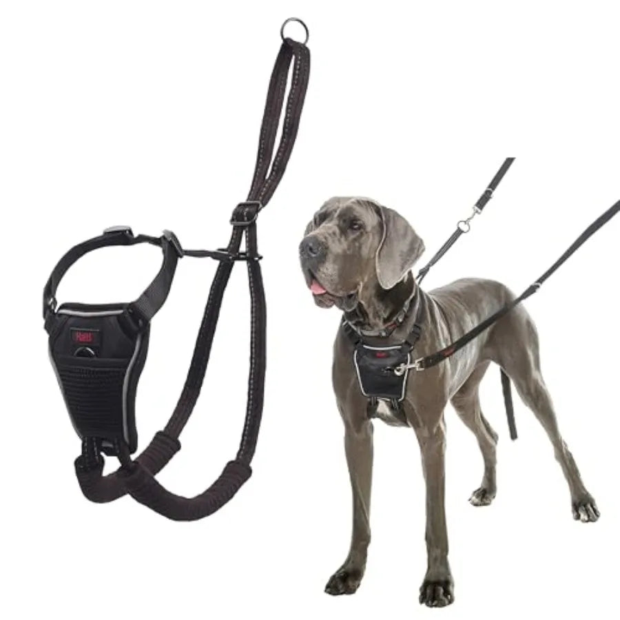 No Pull Dog Harness Size L, Black Stop Your Dog Pulling on the Leash Adjustable, Lightweight, and Easy to Use Dog Training Harn