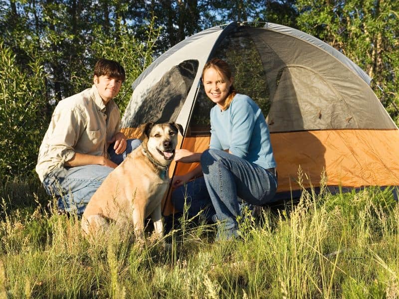 couple dog camping