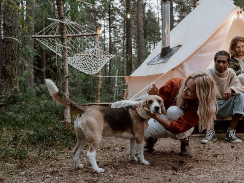 Glamping with dog